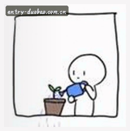孙悦
